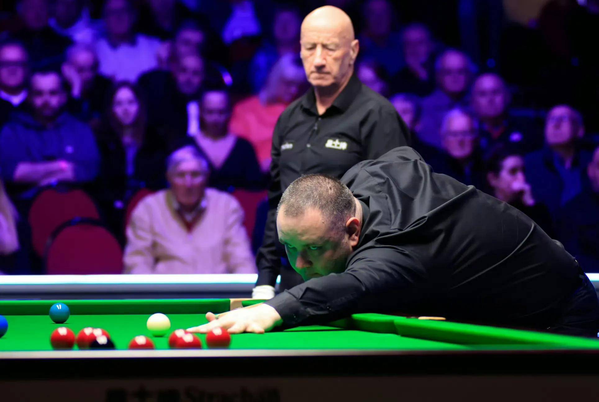 追逐市场热 追逐市场热